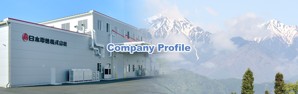 Company Profile